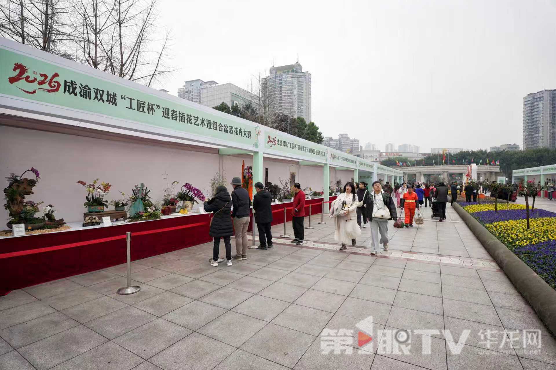 华龙网:视频 成渝花艺大师同台竞技 92件花艺精品陪市民迎新年2.jpg