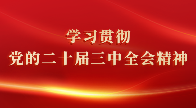 学习贯彻党的二十届三中全会精神