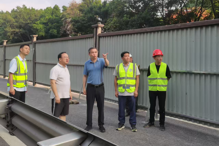 市城市管理局党组书记、局长肖庆华现场督导真武山隧道边坡险情整治工作