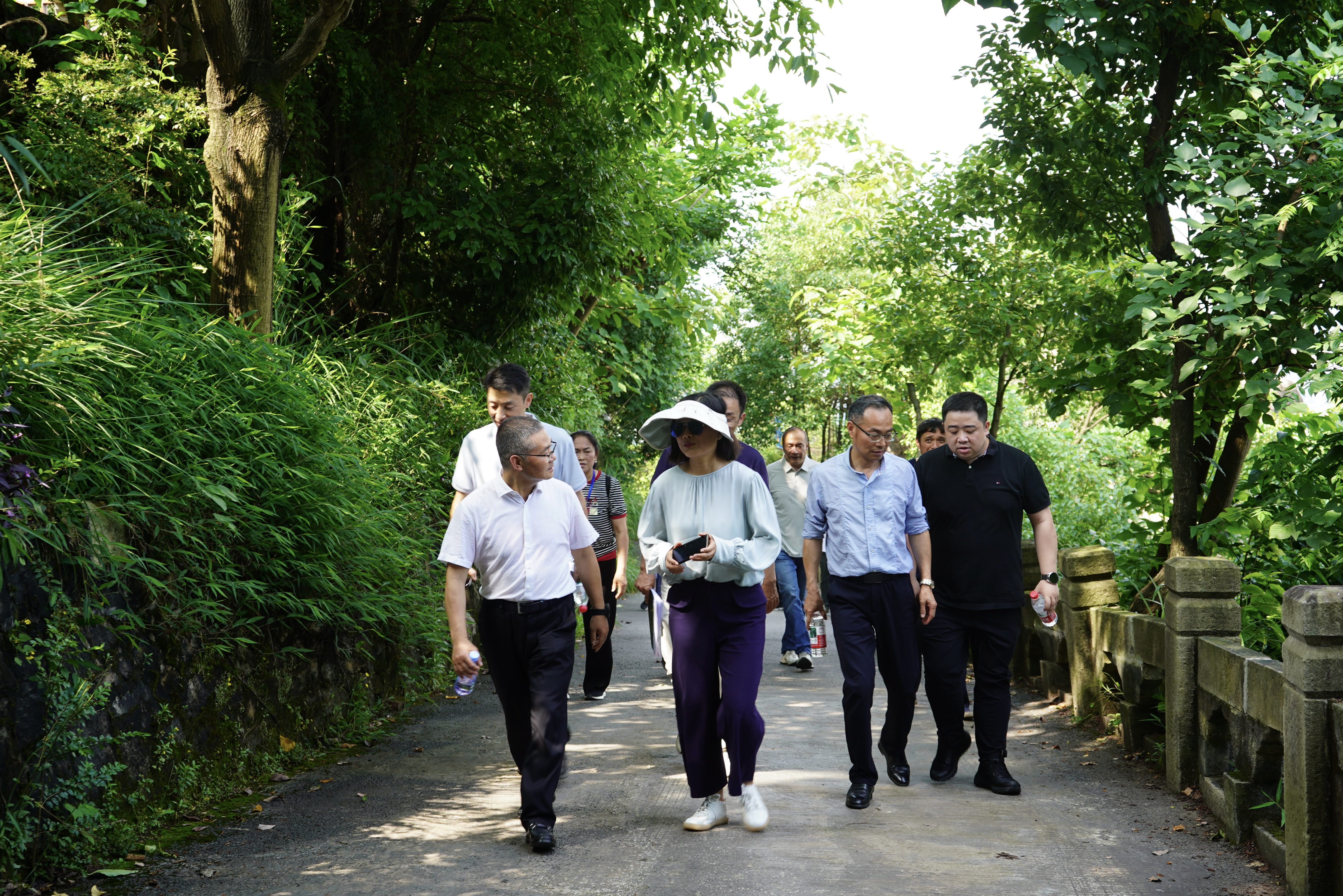 市城市管理局调研南岸区南山花冠步道线路建设工作4.jpg