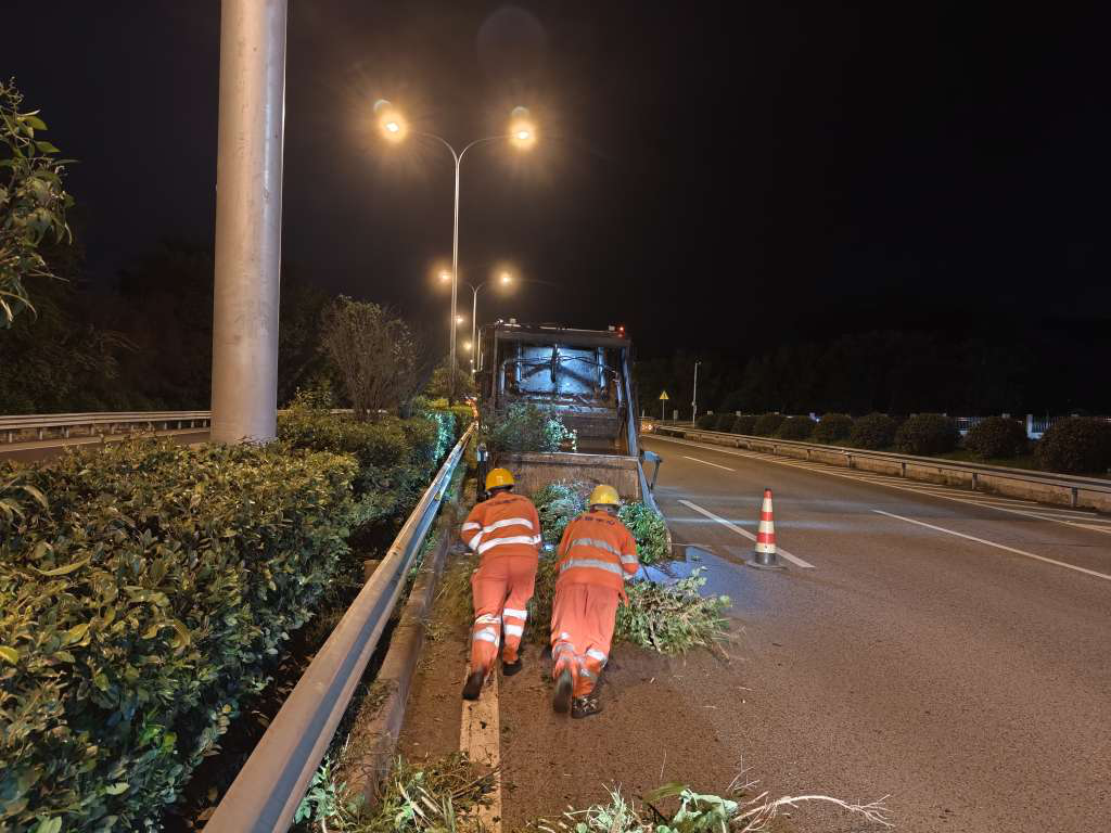 内环快速路绿植修剪清蔓工作1.png