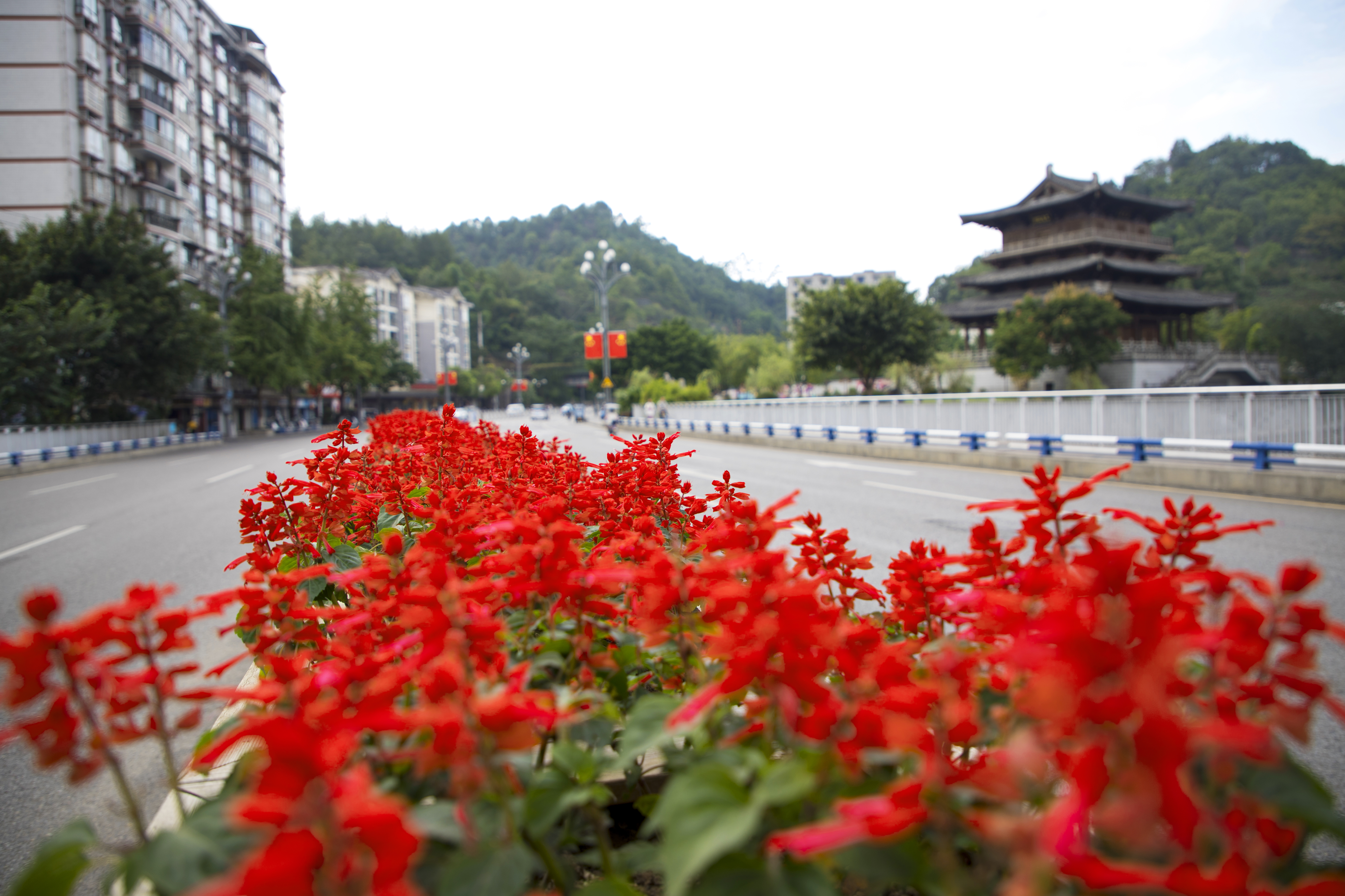 植绿添彩1.jpg