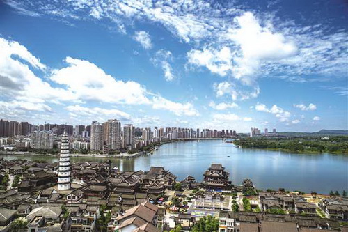 媒体看点合川区花卉艺术创意展暨中国(重庆)第三届长江上游城市花卉