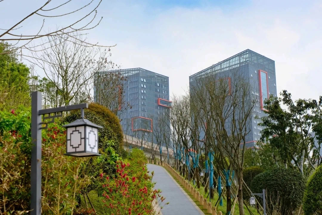 媒体看点_重庆市城市管理局