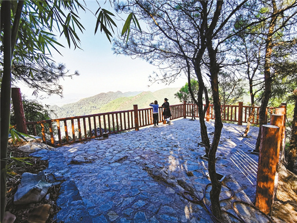 华龙网:北碚 加强农村人居环境整治 建设美丽宜居乡村3.jpg