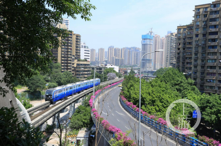上游新闻:发现重庆之美 市民点赞三天破500万人次 “最美”龙虎榜又有新变化2.jpg