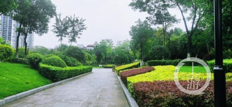 上游新闻:发现重庆之美 市民点赞三天破500万人次 “最美”龙虎榜又有新变化4.jpg