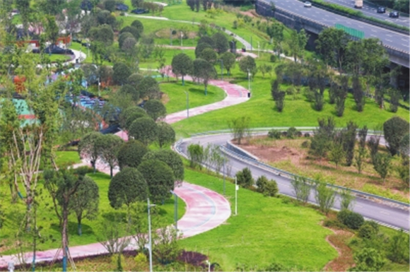 媒体看点_重庆市城市管理局