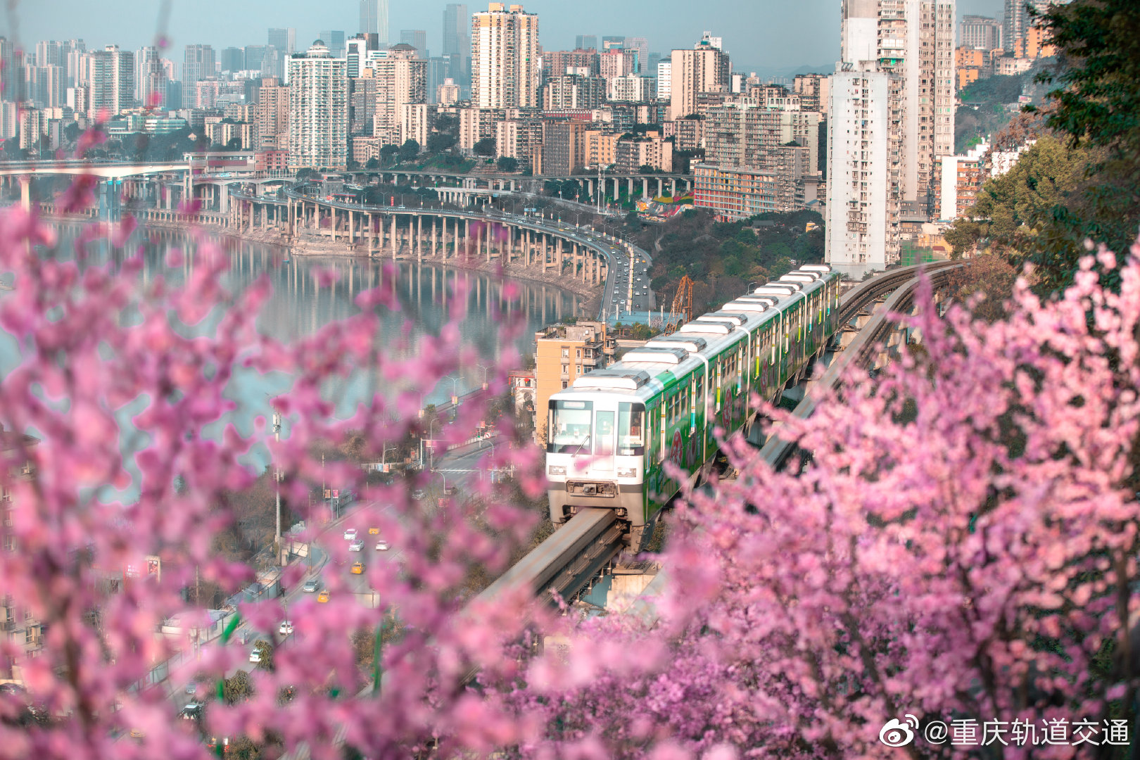 第1眼重庆广电繁花盛景开往春天的列车不止一班