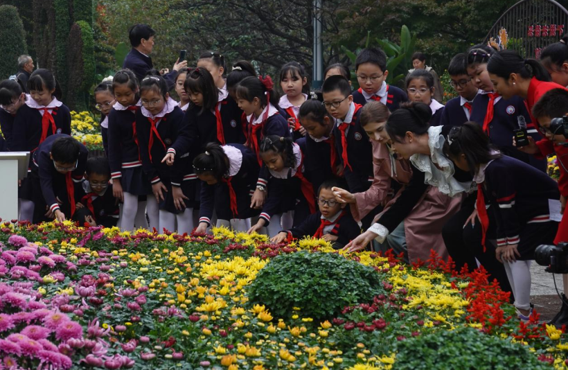 学习强国:共觅菊意秋色 孩子们在菊展中开班会2.png