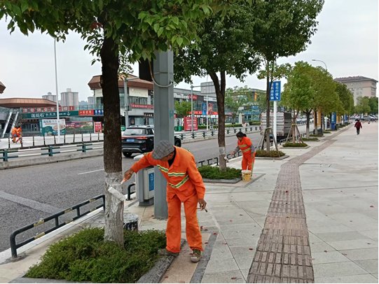 上游新闻:重庆江津 为乔木“换新装”,温暖过冬守护城市绿意.jpg