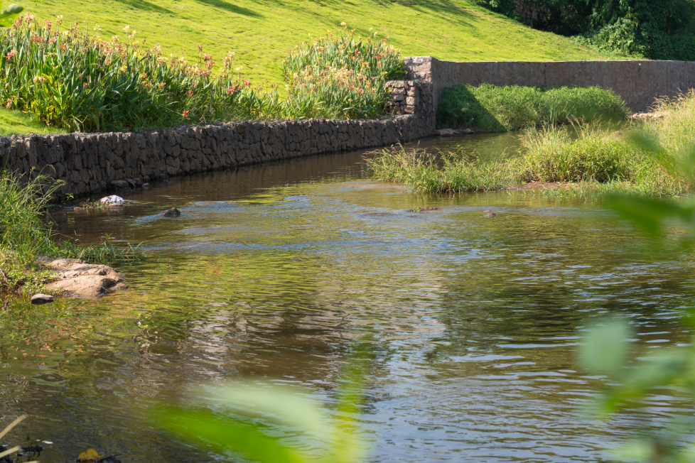 从“生产线”到“生活圈” 两江四岸“渝”见新未来8.png