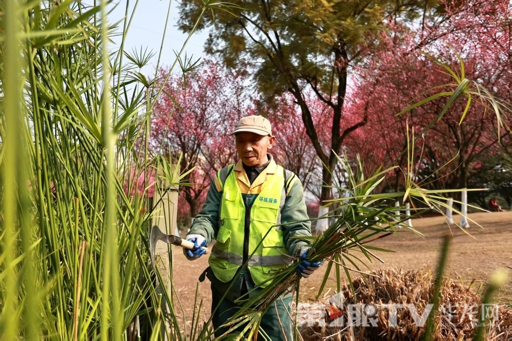 孙宇成正在维护公园绿化。.png