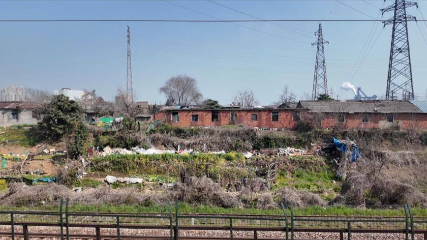 “菜地”变“绿廊”:武汉市青山区铁路沿线“边角料”化身生态“点睛笔” (1).png