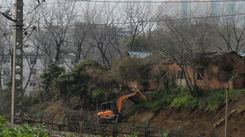 “菜地”变“绿廊”:武汉市青山区铁路沿线“边角料”化身生态“点睛笔” (2).png