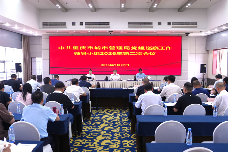 市城市管理局党组巡察工作领导小组召开 2026年第2次会议